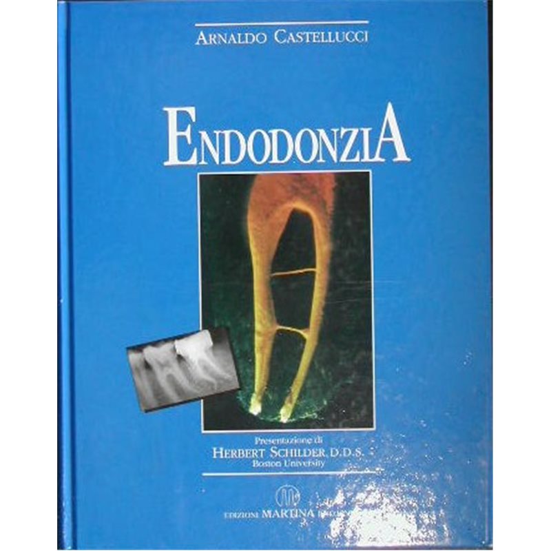 Endodonzia + Aggiornamento 2004